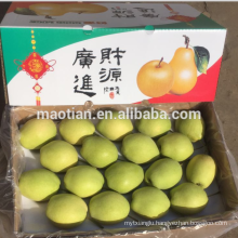 Shandong Pears-Yellow